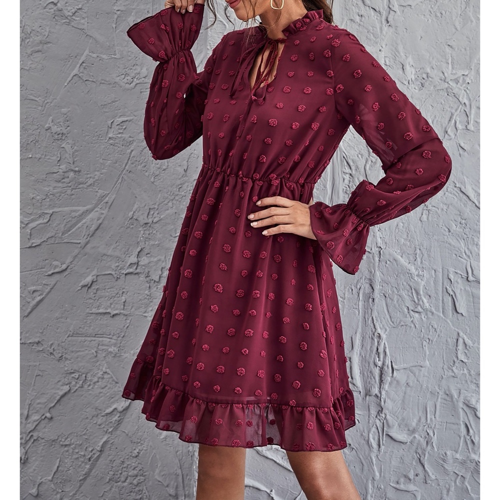 Maroon Red Swiss Dot Long Sleeve Ruffle Dress - Picture 5 of 6